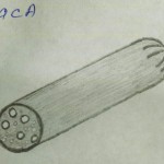 Рисунок Ани Лапиной