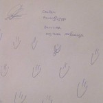 Володя, г. Харьков